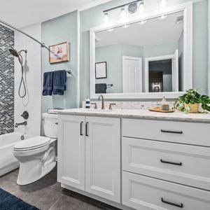 192922-Scenic-Toplicar-3-Elite-Remodeling-01-300x300